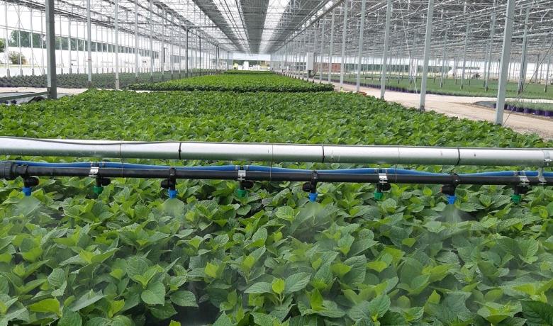 Serre photovoltaïque Reden Solar 